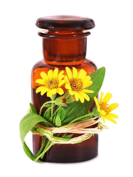 Healing Properties of Arnica